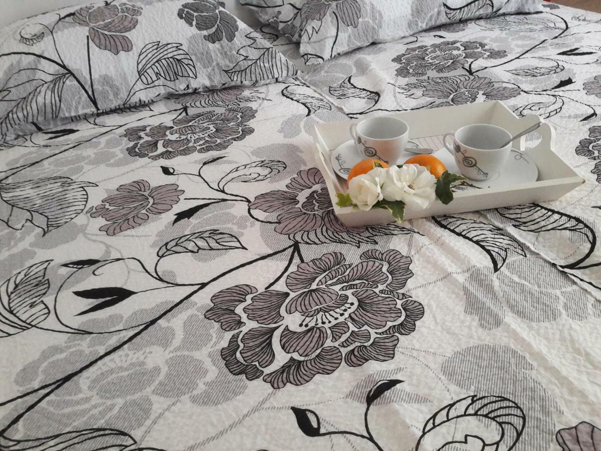 Apartment Danijela I Pula Bagian luar foto